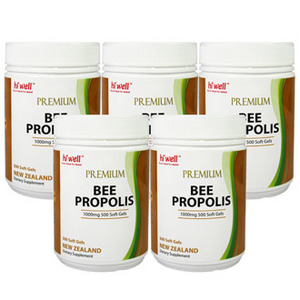 하이웰 프리미엄 Bee 프로폴리스 1000mg 500캡슐 5병(4+1병 무료 파격세일)